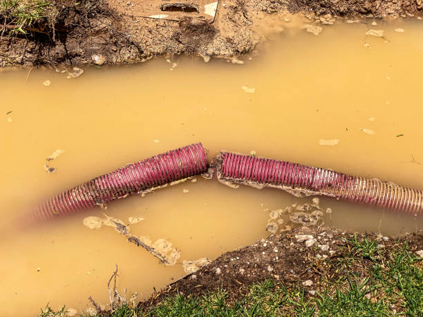 Best Flood restoration services  in Colorado City, TX