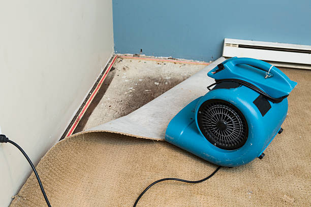 Best 24/7 water damage repair  in Colorado City, TX